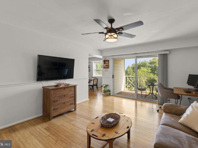 1 Elphin Court # 301