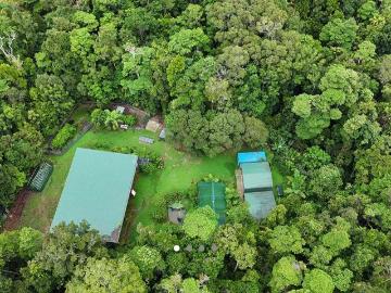 1 Ha of completely private rainforest