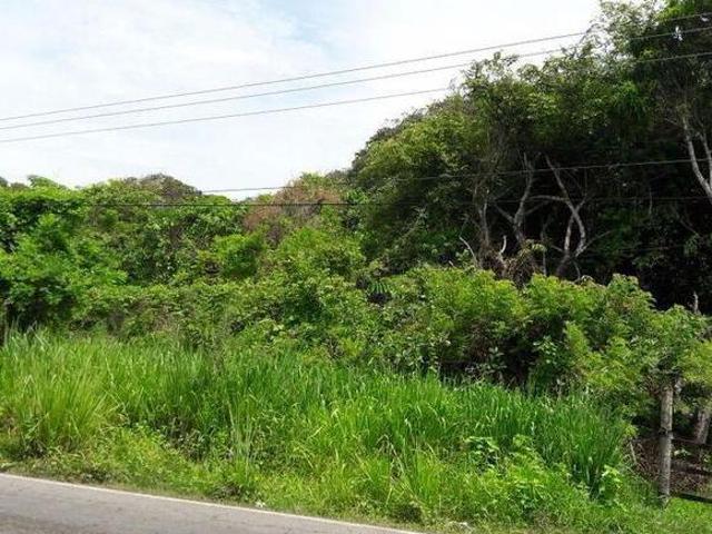 1 ha. Sobre carretera Medellín Jamapa a 2.5 km balneario El Secreto