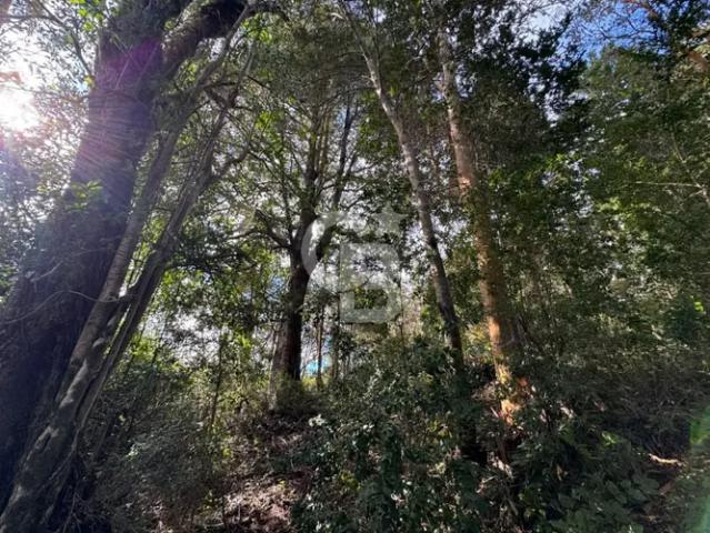 1 hectárea orilla de Río y vista a Volcán Osorno y Calbuco | 0 dormitorios por 140000. 00 en Puerto Varas