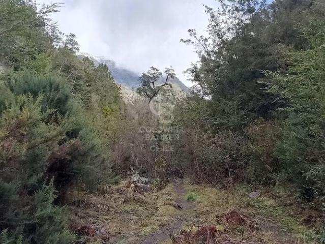 1 hectárea Río Chamiza | 0 dormitorios por 39000. 00 en Puerto Montt