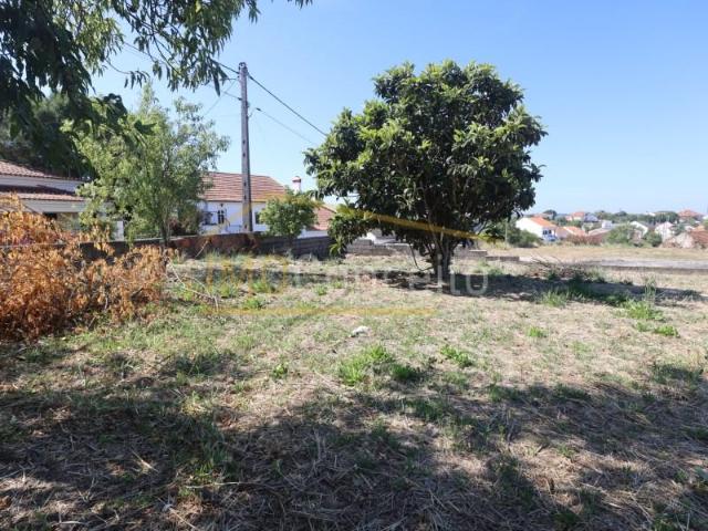 1 quarto, Torres Novas Torres Novas 2350 074 105320676