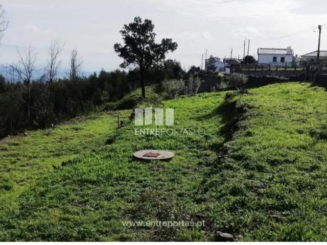 1 quarto, Viana do Castelo Viana do Castelo 104840009