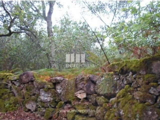 1 quarto, Viana do Castelo Viana do Castelo 104934956