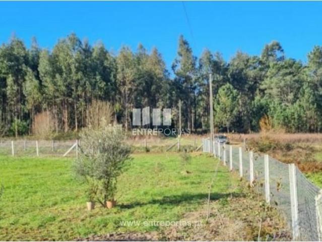 1 quarto, Viana do Castelo Viana do Castelo 104984373