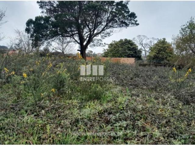 1 quarto, Viana do Castelo Viana do Castelo 105068714