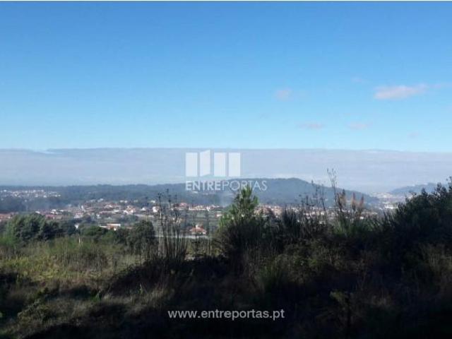 1 quarto, Viana do Castelo Viana do Castelo 105086546
