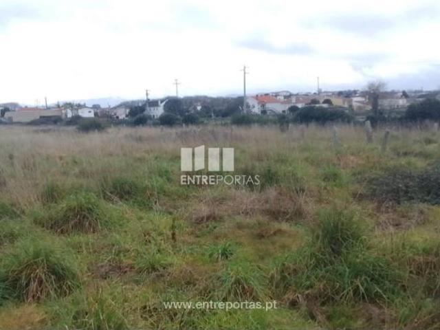 1 quarto, Viana do Castelo Viana do Castelo 100272865