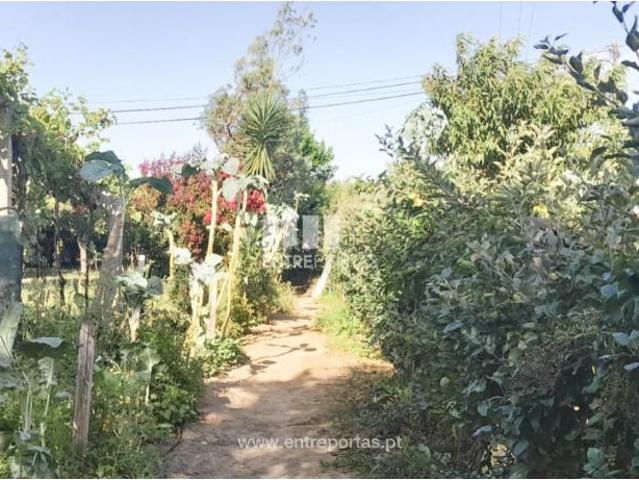 1 quarto, Viana do Castelo Viana do Castelo LS93864350