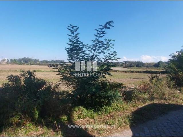 1 quarto, Vila do Conde Vila do Conde 104984374