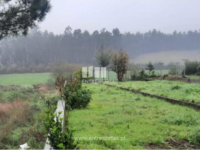 1 quarto, Vila do Conde Vila do Conde 105326167