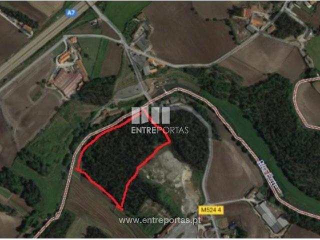 1 quarto, Vila do Conde Vila do Conde 105674255