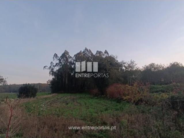 1 quarto, Vila do Conde Vila do Conde 102934331