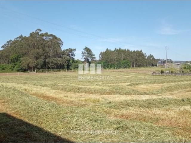1 quarto, Vila do Conde Vila do Conde 95691931