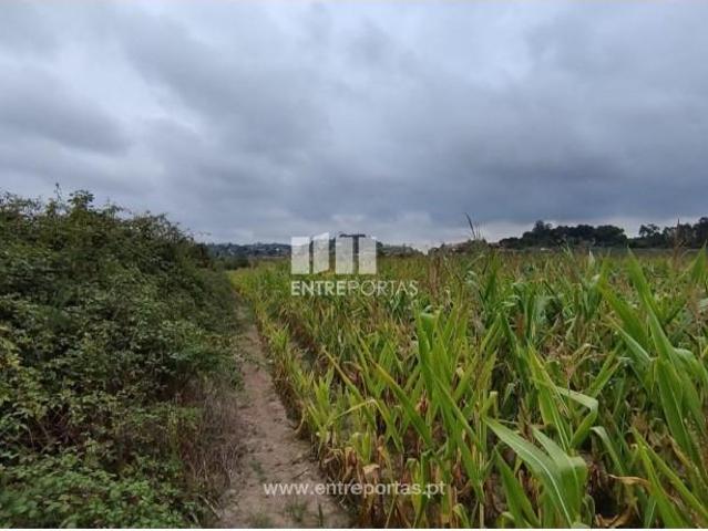 1 quarto, Vila do Conde Vila do Conde 97122550