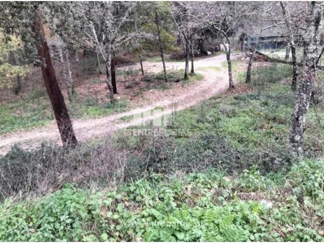 1 quarto, Amarante Amarante 104953798