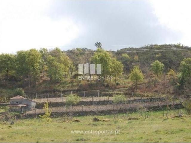 1 quarto, Amarante Amarante 105462150