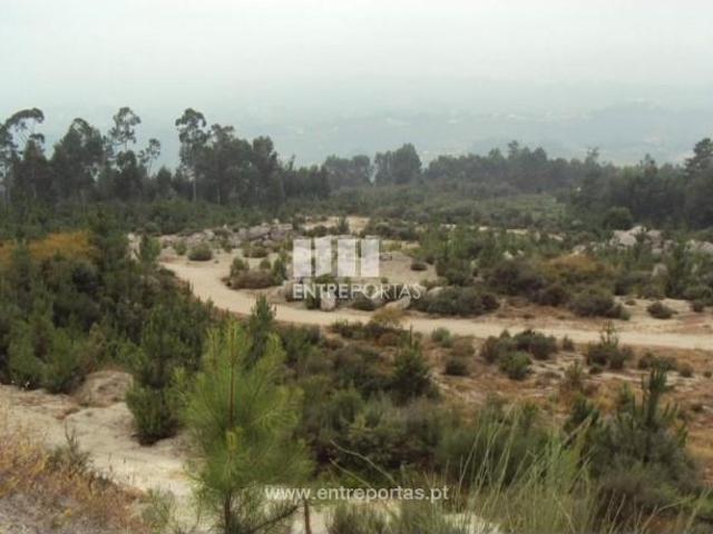 1 quarto, Amarante Amarante 105802001