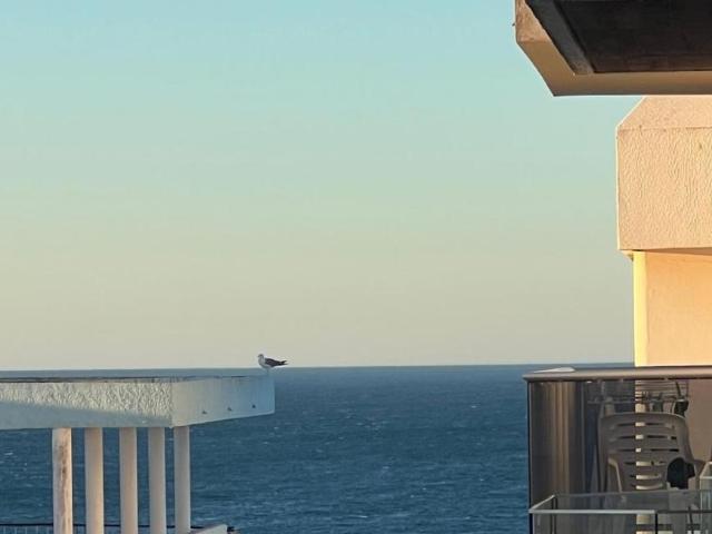 1 quarto, Armação de Pêra Armação de Pêra 103031073