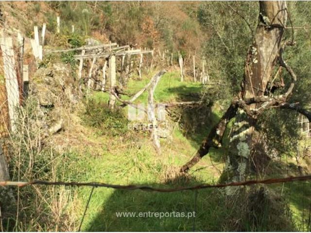1 quarto, Arcos de Valdevez Arcos de Valdevez 106133081