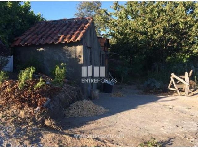 1 quarto, Baião Baião 105674280