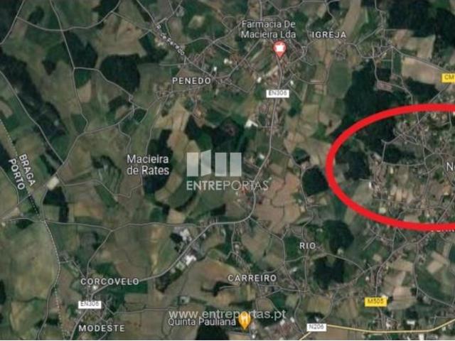 1 quarto, Barcelos Barcelos 98772402