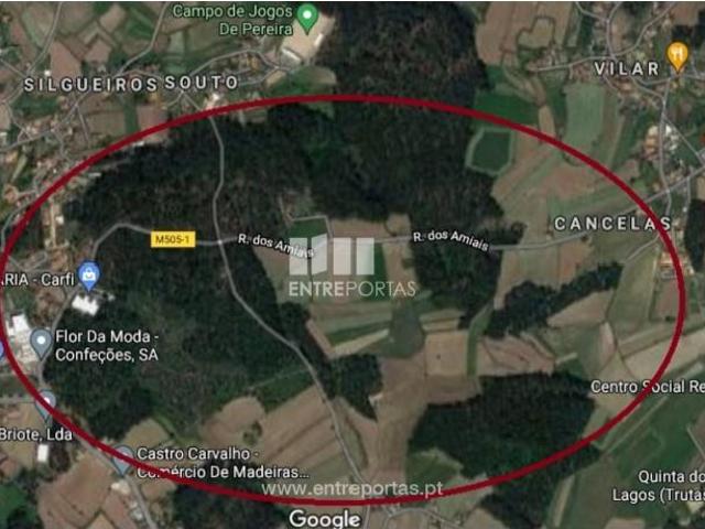 1 quarto, Barcelos Barcelos 105086618