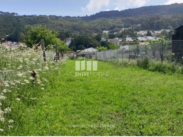 1 quarto, Caminha Caminha 104450440