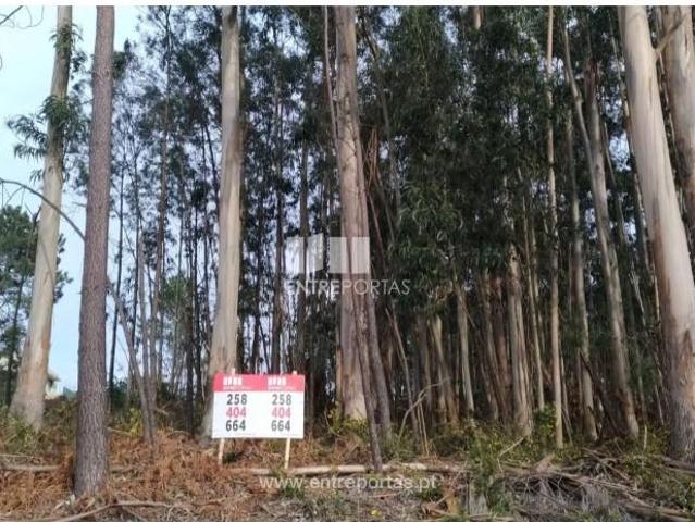 1 quarto, Caminha Caminha 104934937