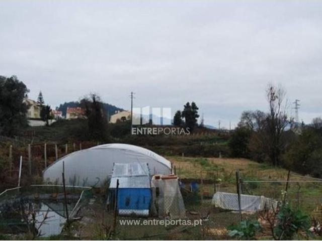1 quarto, Caminha Caminha 104990340