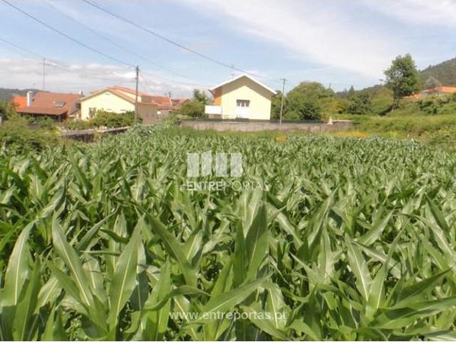 1 quarto, Caminha Caminha 104990350