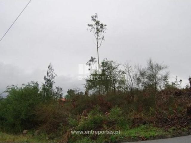 1 quarto, Caminha Caminha 104990353