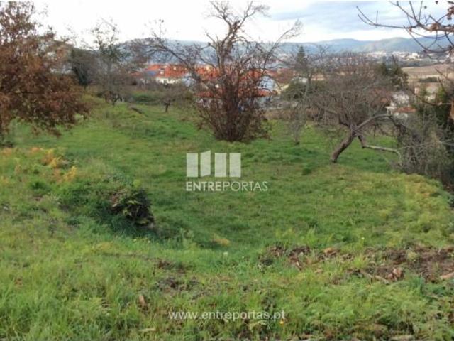 1 quarto, Caminha Caminha 105086535
