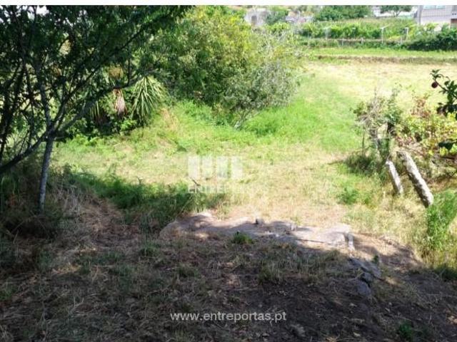 1 quarto, Caminha Caminha 105110336