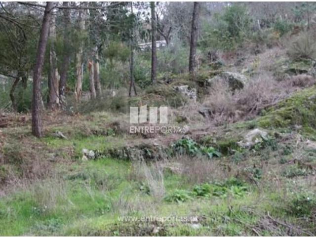 1 quarto, Caminha Caminha 105110362