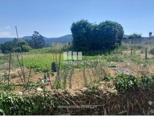 1 quarto, Caminha Caminha 100067302