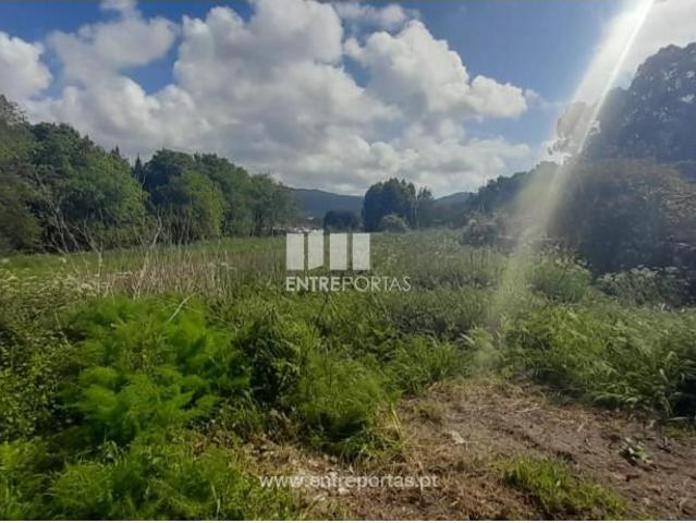 1 quarto, Caminha Caminha 103083900