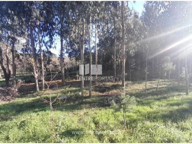 1 quarto, Caminha Caminha 103779068