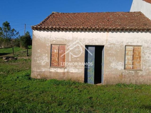 1 quarto, Castelo Branco Castelo Branco 6000 100526863
