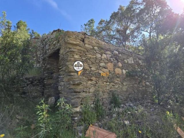 1 quarto, Castelo Branco Castelo Branco 6000 101687083