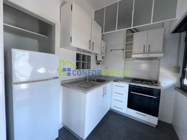 1 quarto, Castelo Branco Castelo Branco 6000 105309190