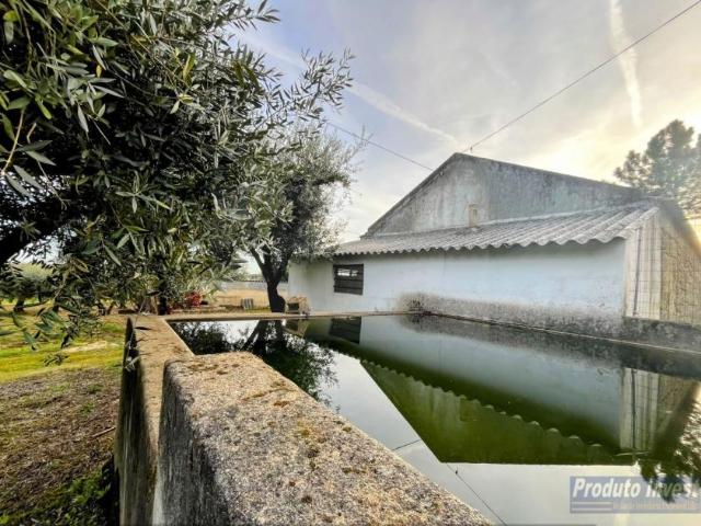 1 quarto, Castelo Branco Fundão 6230 98703401