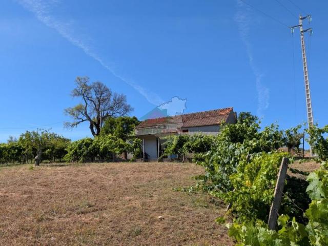 1 quarto, Castelo Branco Sertã 6100 103322322