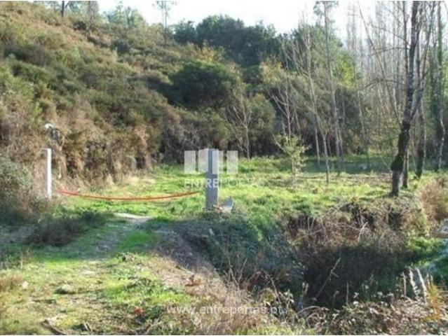 1 quarto, Castelo de Paiva Castelo de Paiva 105020728