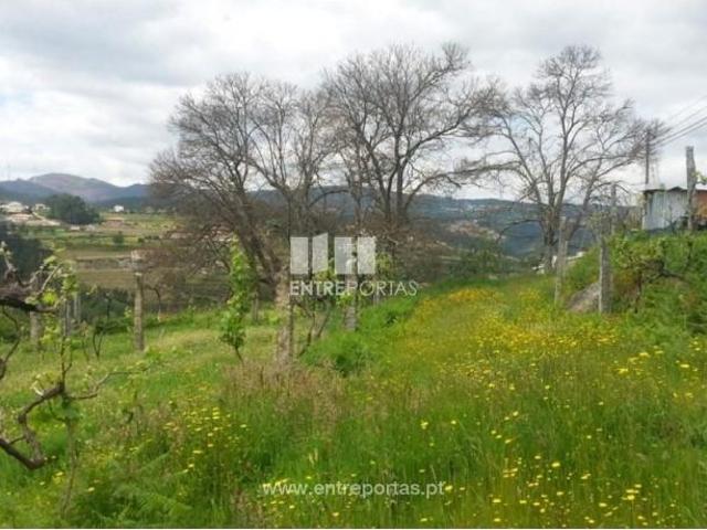 1 quarto, Castelo de Paiva Castelo de Paiva 105504348