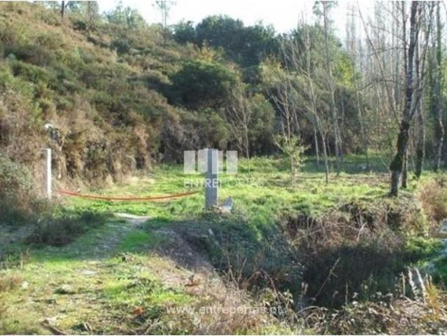 1 quarto, Castelo de Paiva Castelo de Paiva 105990097