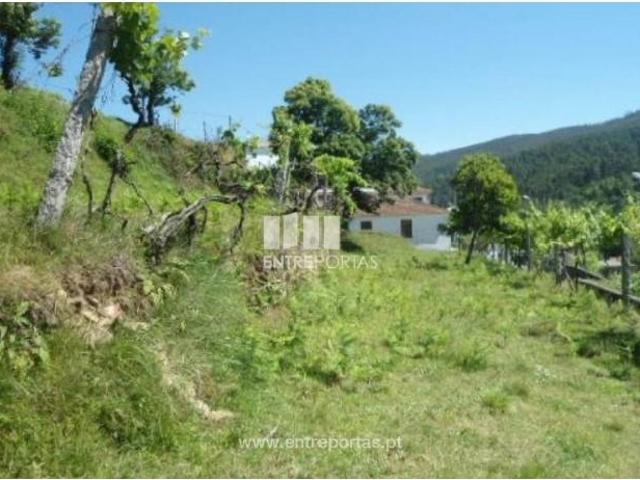 1 quarto, Cinfães Cinfães 104839978