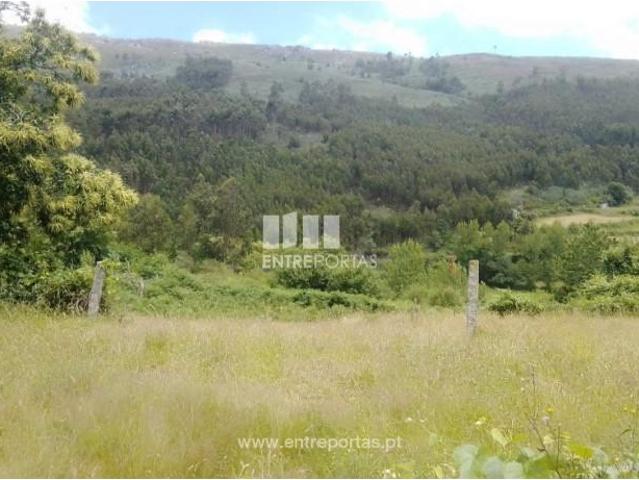 1 quarto, Cinfães Cinfães 104953780