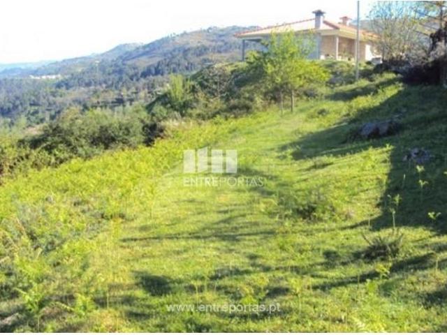 1 quarto, Cinfães Cinfães 104953792