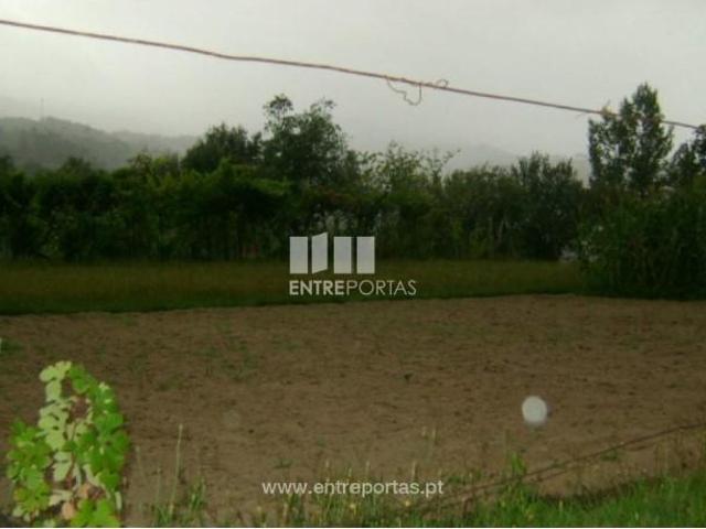 1 quarto, Cinfães Cinfães 105110324
